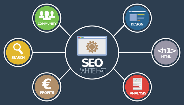 seo rozbor