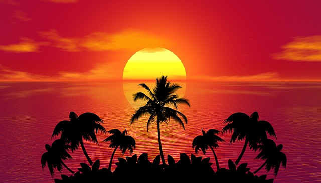 slunce za palmami
